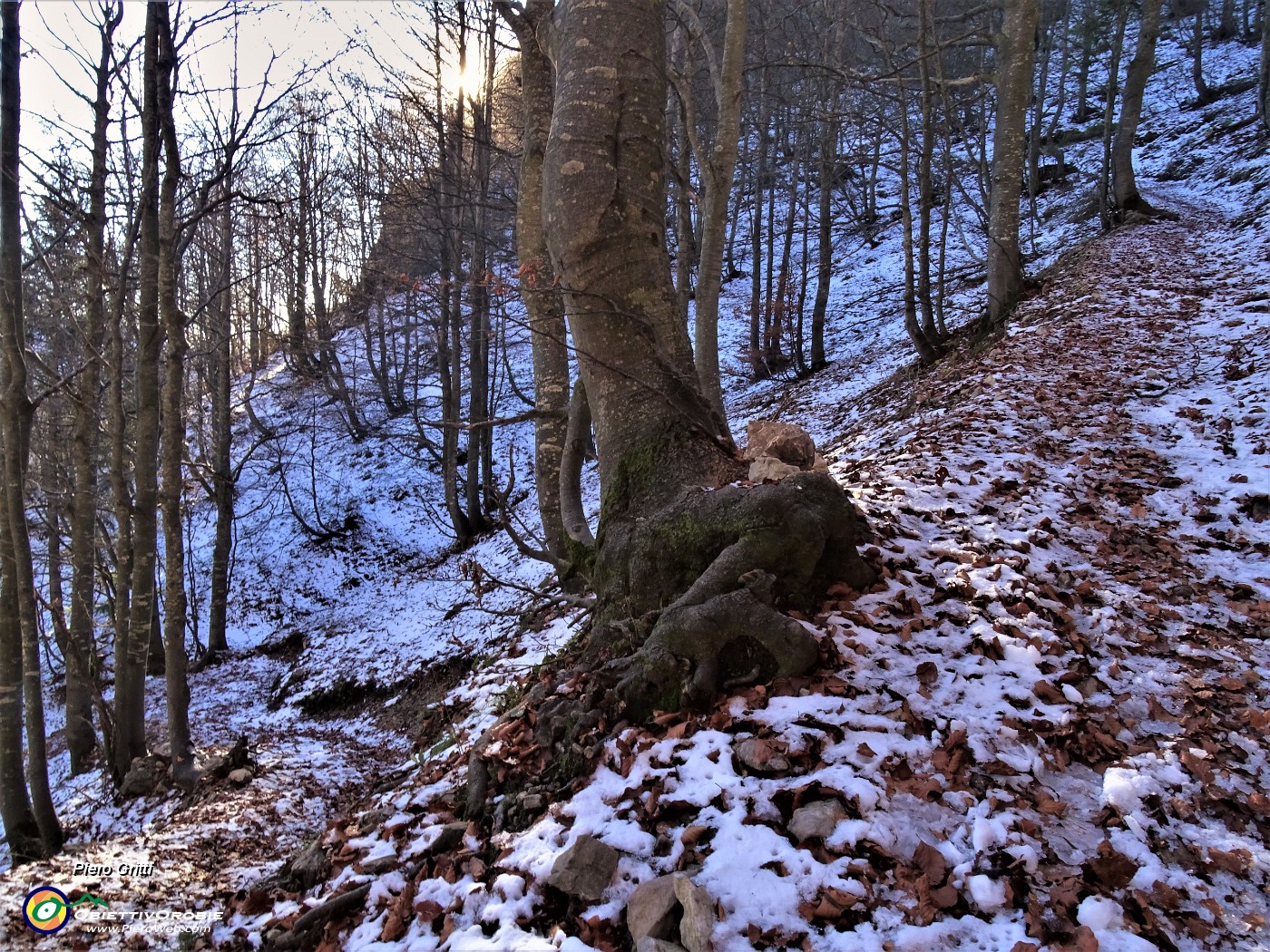 23 Oltre i 1600 m la pirma neve nella faggeta dove il sole non arriva a scioglierla.JPG